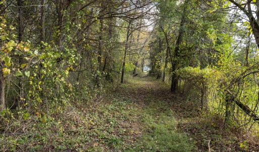 Photo #71 of DRY RUN RD, LURAY, VA 10.4 acres