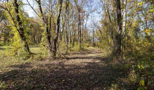 Photo #52 of DRY RUN RD, LURAY, VA 10.4 acres
