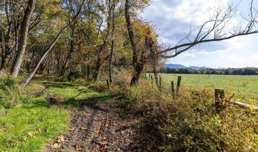Photo #68 of DRY RUN RD, LURAY, VA 10.4 acres