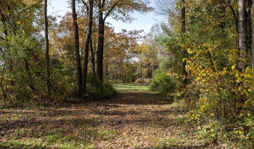 Photo #41 of DRY RUN RD, LURAY, VA 10.4 acres