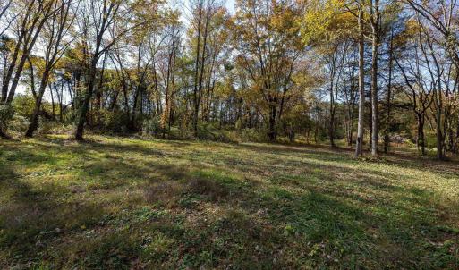 Photo #46 of DRY RUN RD, LURAY, VA 10.4 acres