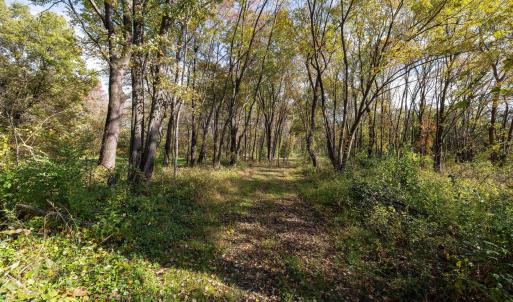 Photo #66 of DRY RUN RD, LURAY, VA 10.4 acres