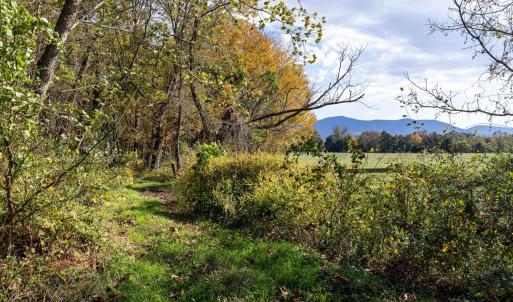 Photo #69 of DRY RUN RD, LURAY, VA 10.4 acres