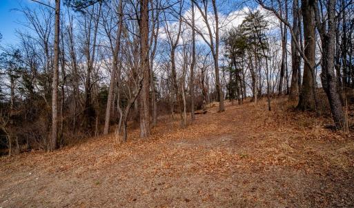 Photo #13 of TBD KISER RD, MOUNT CRAWFORD, VA 36.4 acres