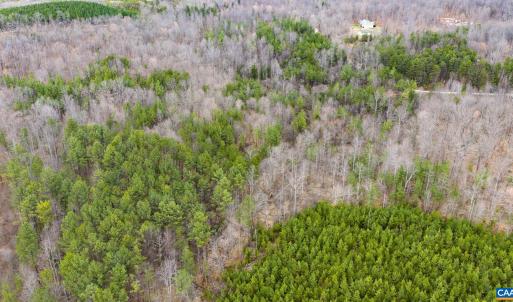 Photo #16 of SHARON RD, ESMONT, VA 15.6 acres