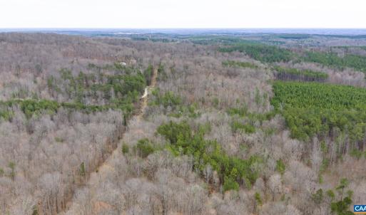 Photo #10 of SHARON RD, ESMONT, VA 15.6 acres