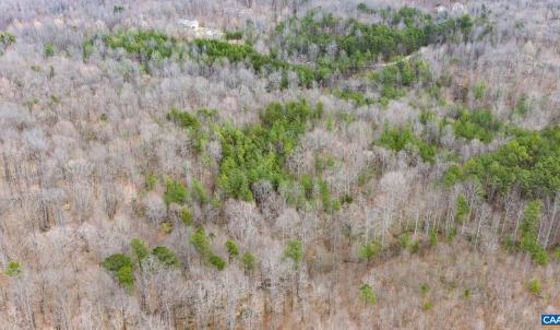 Photo #12 of SHARON RD, ESMONT, VA 15.6 acres
