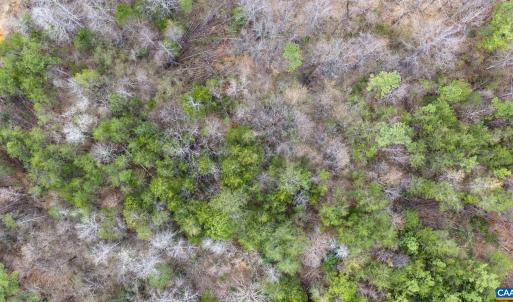 Photo #24 of SHARON RD, ESMONT, VA 15.6 acres