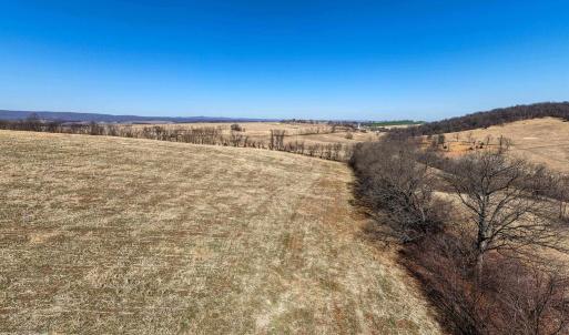 Photo #18 of NEIGHBORS LN, TIMBERVILLE, VA 50.2 acres
