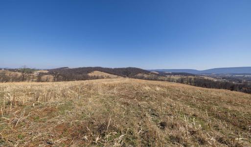 Photo #45 of NEIGHBORS LN, TIMBERVILLE, VA 50.2 acres
