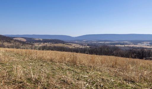 Photo #42 of NEIGHBORS LN, TIMBERVILLE, VA 50.2 acres