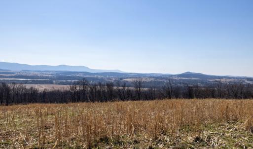 Photo #39 of NEIGHBORS LN, TIMBERVILLE, VA 50.2 acres