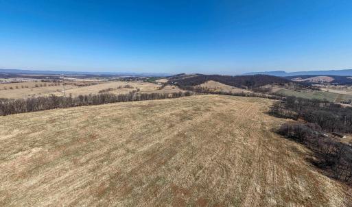 Photo #10 of NEIGHBORS LN, TIMBERVILLE, VA 50.2 acres