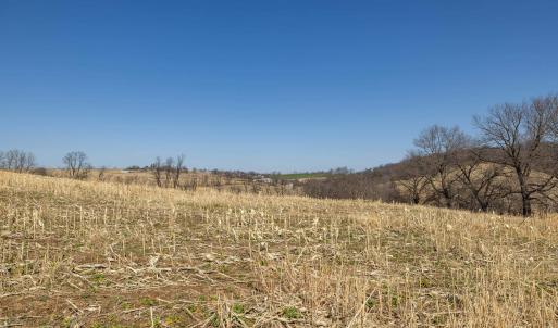Photo #28 of NEIGHBORS LN, TIMBERVILLE, VA 50.2 acres