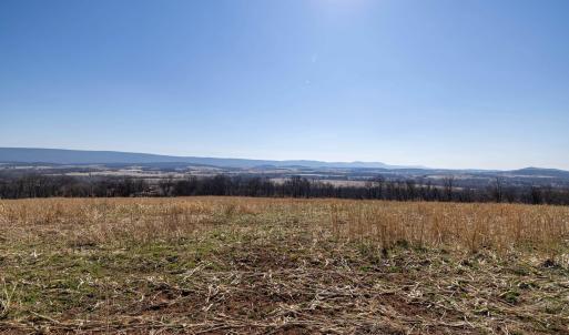 Photo #40 of NEIGHBORS LN, TIMBERVILLE, VA 50.2 acres