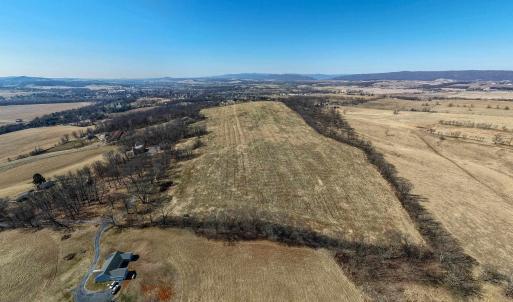 Photo #3 of NEIGHBORS LN, TIMBERVILLE, VA 50.2 acres