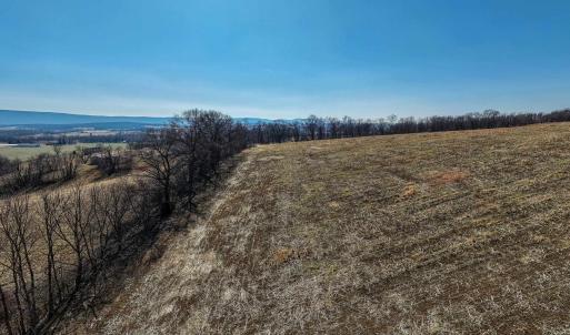 Photo #19 of NEIGHBORS LN, TIMBERVILLE, VA 50.2 acres