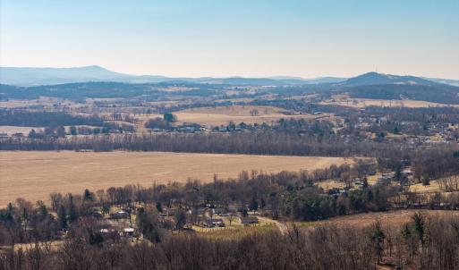 Photo #49 of NEIGHBORS LN, TIMBERVILLE, VA 50.2 acres