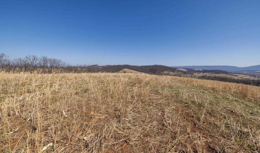 Photo #43 of NEIGHBORS LN, TIMBERVILLE, VA 50.2 acres