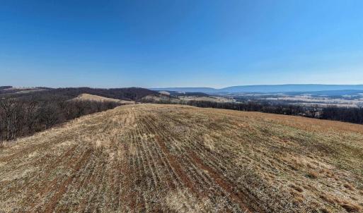 Photo #14 of NEIGHBORS LN, TIMBERVILLE, VA 50.2 acres