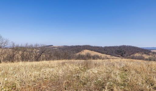 Photo #46 of NEIGHBORS LN, TIMBERVILLE, VA 50.2 acres
