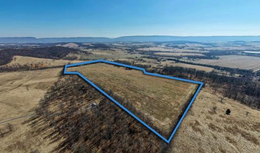 Photo #8 of NEIGHBORS LN, TIMBERVILLE, VA 50.2 acres