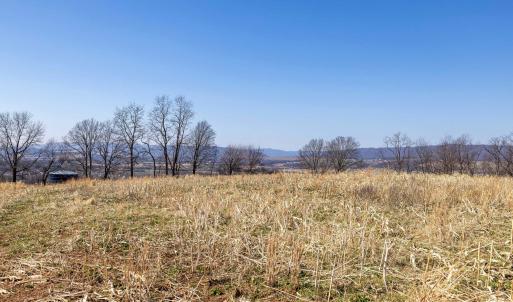 Photo #37 of NEIGHBORS LN, TIMBERVILLE, VA 50.2 acres