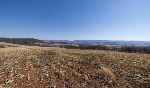 Photo #47 of NEIGHBORS LN, TIMBERVILLE, VA 50.2 acres