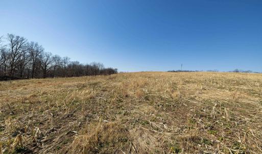 Photo #27 of NEIGHBORS LN, TIMBERVILLE, VA 50.2 acres