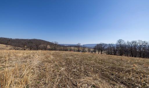 Photo #31 of NEIGHBORS LN, TIMBERVILLE, VA 50.2 acres