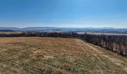 Photo #16 of NEIGHBORS LN, TIMBERVILLE, VA 50.2 acres