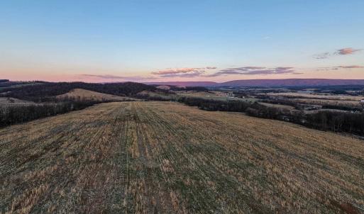 Photo #55 of NEIGHBORS LN, TIMBERVILLE, VA 50.2 acres