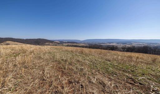 Photo #41 of NEIGHBORS LN, TIMBERVILLE, VA 50.2 acres