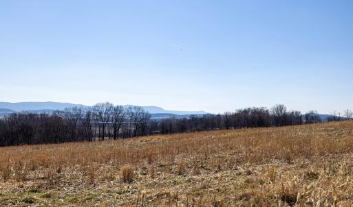 Photo #35 of NEIGHBORS LN, TIMBERVILLE, VA 50.2 acres