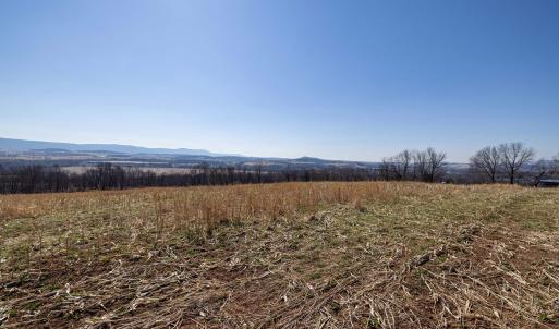 Photo #38 of NEIGHBORS LN, TIMBERVILLE, VA 50.2 acres