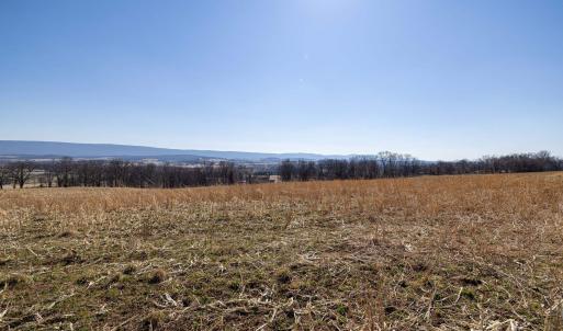 Photo #34 of NEIGHBORS LN, TIMBERVILLE, VA 50.2 acres