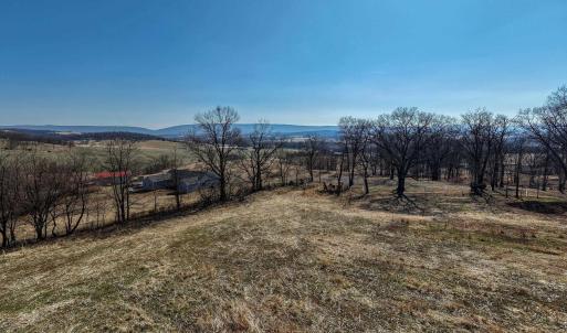 Photo #12 of NEIGHBORS LN, TIMBERVILLE, VA 50.2 acres