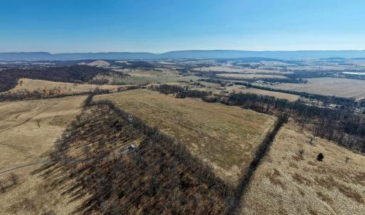 Photo #9 of NEIGHBORS LN, TIMBERVILLE, VA 50.2 acres