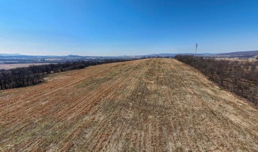 Photo #21 of NEIGHBORS LN, TIMBERVILLE, VA 50.2 acres
