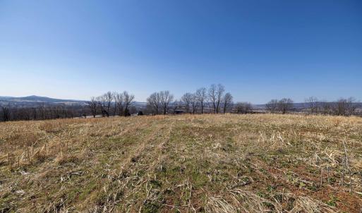 Photo #44 of NEIGHBORS LN, TIMBERVILLE, VA 50.2 acres