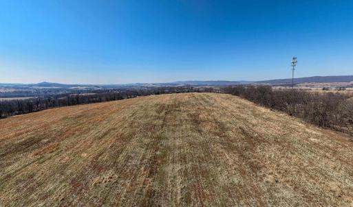 Photo #22 of NEIGHBORS LN, TIMBERVILLE, VA 50.2 acres