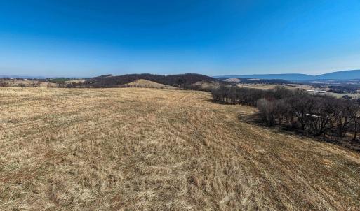 Photo #17 of NEIGHBORS LN, TIMBERVILLE, VA 50.2 acres