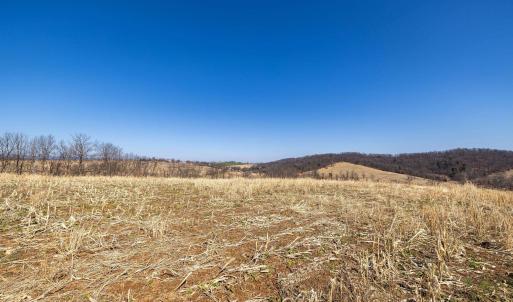Photo #32 of NEIGHBORS LN, TIMBERVILLE, VA 50.2 acres