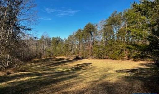 Photo #2 of MARKWOOD RD, EARLYSVILLE, VA 22.3 acres