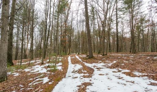 Photo #3 of Lot 44 RAINBOW RIDGE RD, BERGTON, VA 16.6 acres