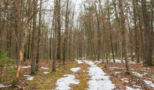 Photo #5 of Lot 44 RAINBOW RIDGE RD, BERGTON, VA 16.6 acres