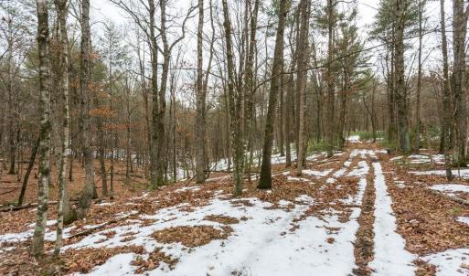 Photo #4 of Lot 44 RAINBOW RIDGE RD, BERGTON, VA 16.6 acres
