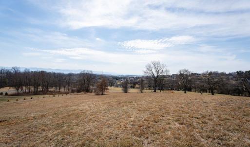 Photo #8 of Lot 199 COLCHESTER CT, ROCKINGHAM, VA 0.6 acres