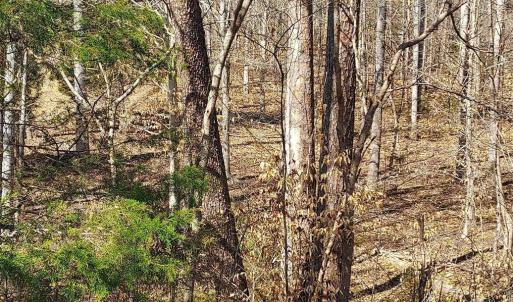 Photo #1 of 460 JEFFERSON, PALMYRA, VA 0.3 acres