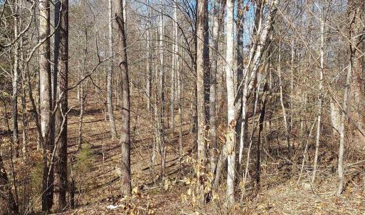 Photo #2 of 460 JEFFERSON, PALMYRA, VA 0.3 acres